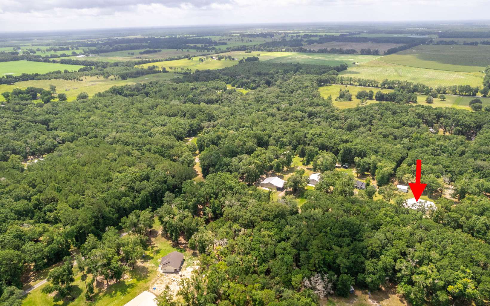 Property view 41