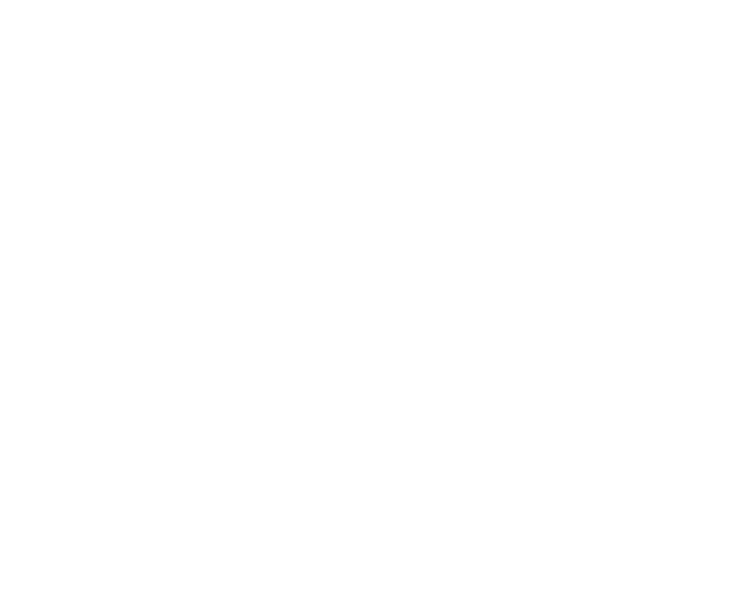 Florida Airpark Specials Logo
